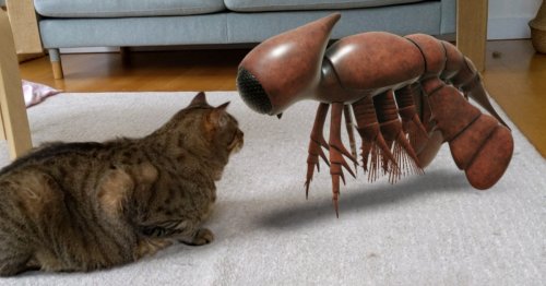 Google makes NASA artifacts and prehistoric crustaceans viewable in AR