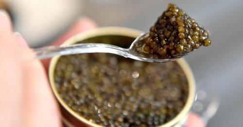 Eight People Arrested for Allegedly Running Massive Black Market Caviar Ring in the Bay Area