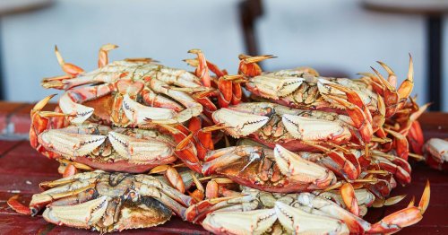 California Dungeness Crab Season Is Delayed Until at Least the Week of Christmas