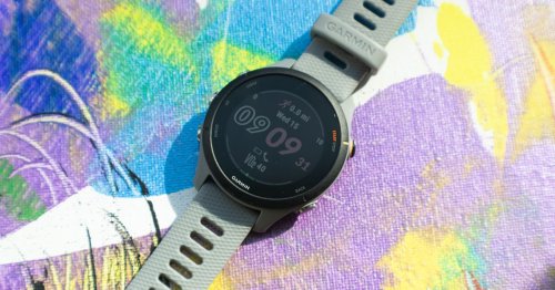 Garmin Forerunner 255S review: running with the big dogs
