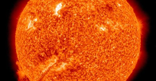 The sun’s poles are about to flip. It’s awesome — and slightly terrifying.