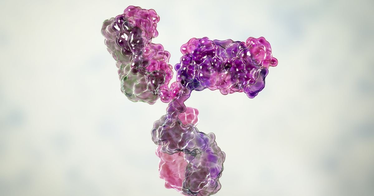 This is what long-term immunity to Covid-19 might look like
