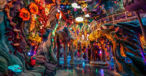 Psychedelic Art Palace Meow Wolf Is Coming to New York