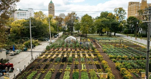 America’s first sustainable urban agrihood is growing in Detroit