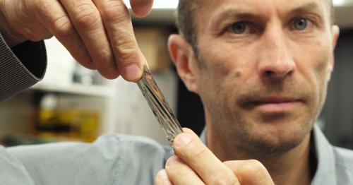 IBM scientists have captured 330TB of uncompressed data into a tiny cartridge
