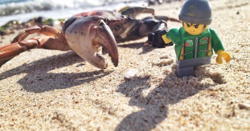 The dangerous, beautiful life of a Lego minifig photographer