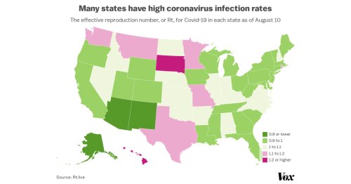 America’s uniquely bad Covid-19 epidemic, explained in 18 maps and charts