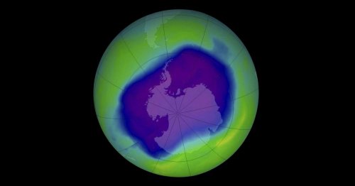 Climate Change, The Environment, And Solutions