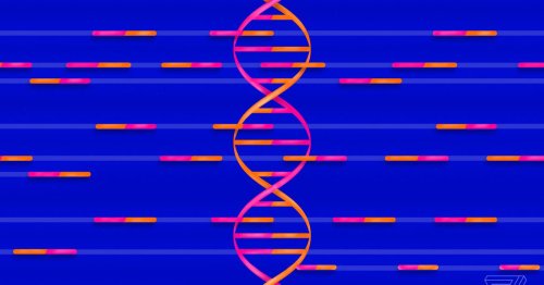 Why a DNA data breach is much worse than a credit card leak