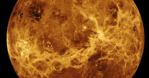 Life on Venus? Scientists rethink the idea of 'habitable' planets