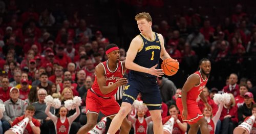 Michigan Basketball is leaning into the right types of transfers