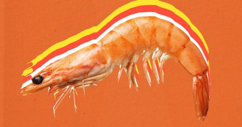 What’s the Difference Between Shrimp and Prawns?