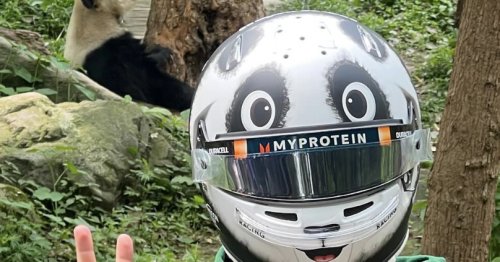 Alex Albon unveils fantastic panda-themed helmet for F1 Chinese Grand Prix