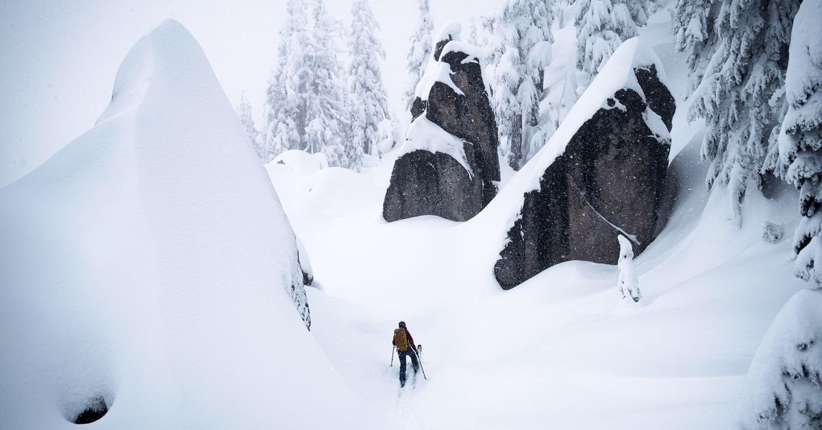 They save skiers and hikers in the wilderness. Here’s how they think about resilience.