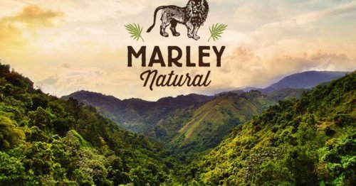 Bob Marley-branded weed is helping pot startups break funding records