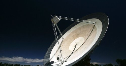Mystery radio signals that baffled astronomers for years came from the staff microwave