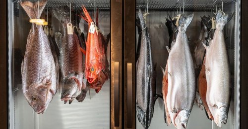 Why Dry-Aged Fish Is Everything Everywhere All at Once in LA