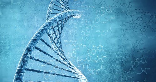New programming language could code DNA to deliver drugs and detect diseases