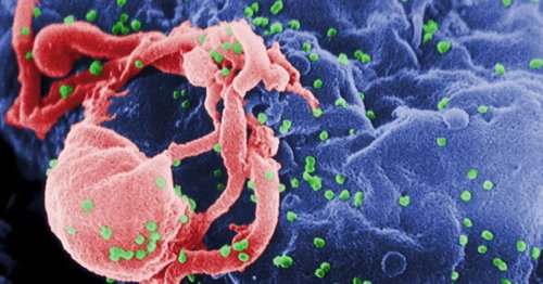 First child 'functionally cured' of HIV remains in remission, scientists announce