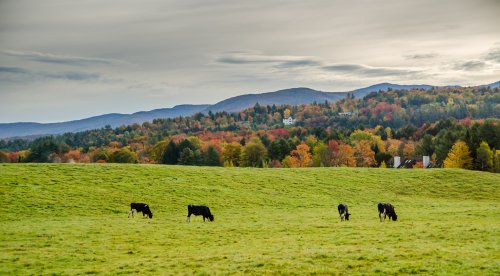 another-decade-of-farm-tax-breaks-up-for-vote-in-stowe-flipboard