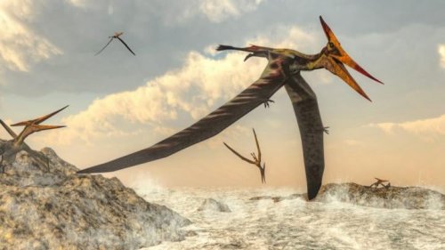 Scientists Solve 200-Year-Long Mystery Behind Origin of Pterosaurs—First-Known Flying Vertebrates | Weather.com