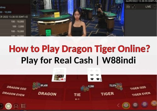 How to Play Dragon Tiger Online Game for Real Cash - W88indi