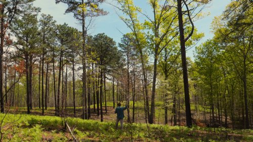 Sen. Ossoff pushing for federal funding for Georgia public lands