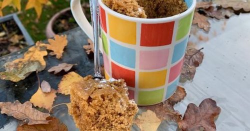 The easy gingerbread mugcake recipe that takes 90 seconds to cook
