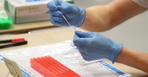 Self-isolation support payments increased from Saturday - here's who's eligible