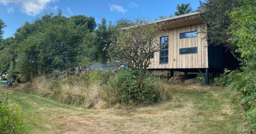 Man branded a 'doofus' after boasting about 'holiday cabin' he can't live in
