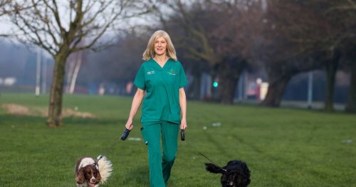 Labrador saved vet nurse's life when it headbutted her in the chest
