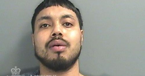 Thug attacked couple before attacking man with pole