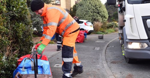 'Well my black bin will fuller than usual' Concerns about Cardiff's new recycling bag system
