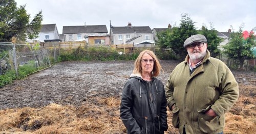 The cleaner and road worker who bought a horse and became a Hollywood film