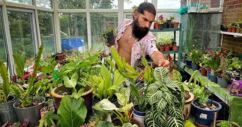 Green-fingered dad spends £6k turning home into an 'indoor jungle'