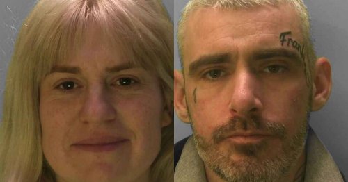 Couple Handed Jail Sentences After Seven Children And 35 Dogs Discovered Living In repugnant 