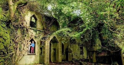 The old and forgotten Welsh village that has been reclaimed by nature