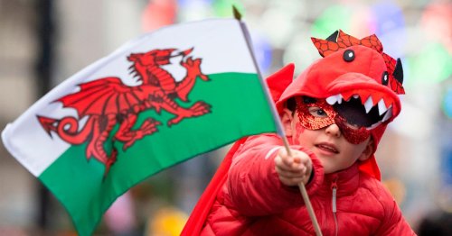 Should Wales mark St David's Day with Bank Holiday? - Here's what you had to say