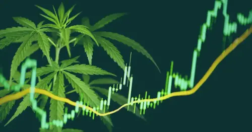 Should You Invest In The Cannabis Industry? | WalletGenius