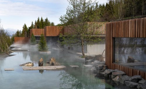 Take a dip in Iceland’s Forest Lagoon