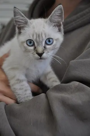 Flipboard Stories From 28 875 Topics Personalized For You