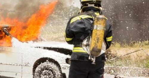 Appelés pour un accident de voiture, les pompiers déploient une stratégie pour libérer un passager spécial
