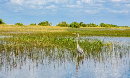 The 12 Best Hotels Near Everglades National Park