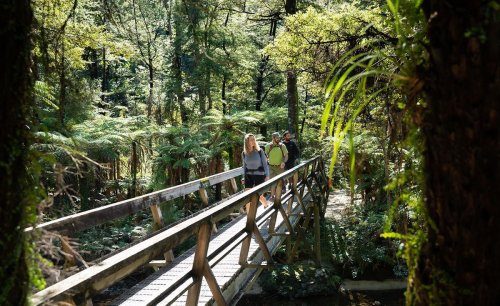 New Zealand's Great Walks: A full guide