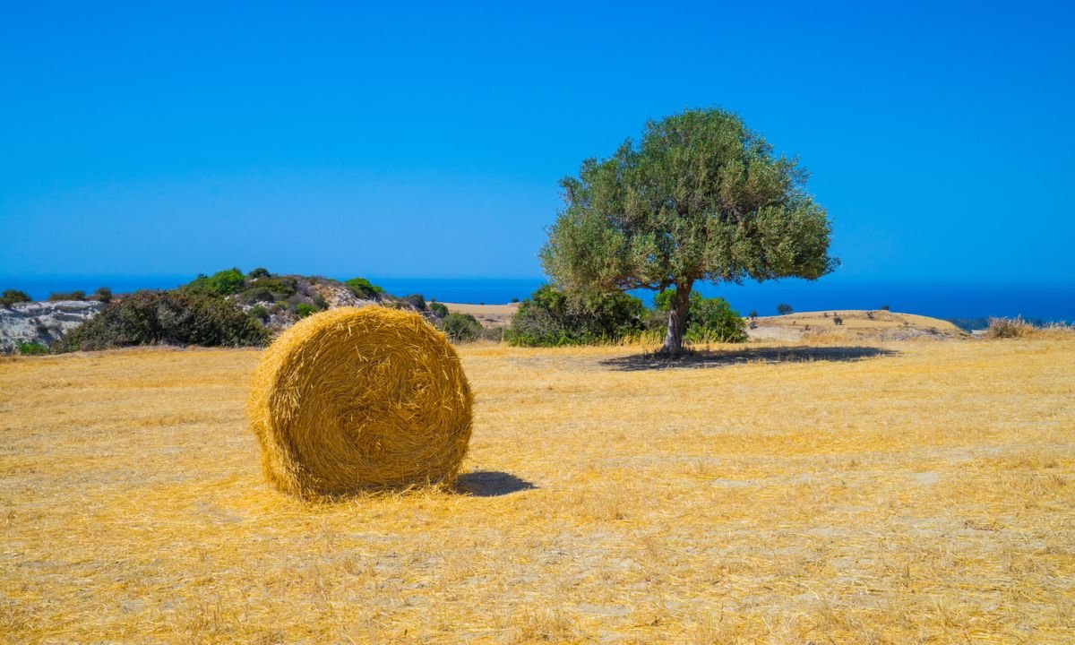 5 extraordinary experiences you’ll only find in rural Cyprus