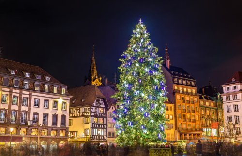 The world's 8 most spectacular Christmas trees