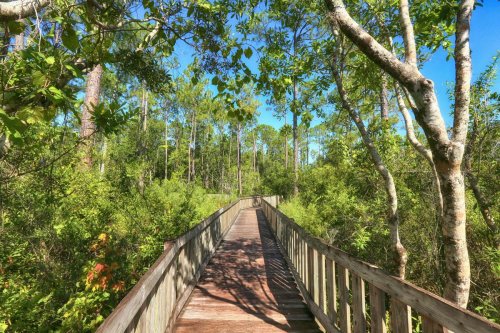 7 things to do in Orlando (that don’t include Disneyland!)