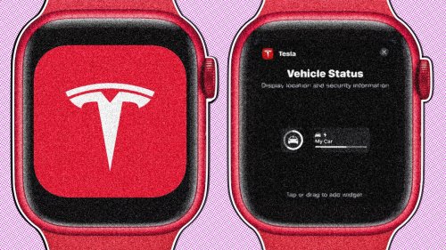 Elon Musk on whether an Apple Watch Tesla app will come: 'Sure'