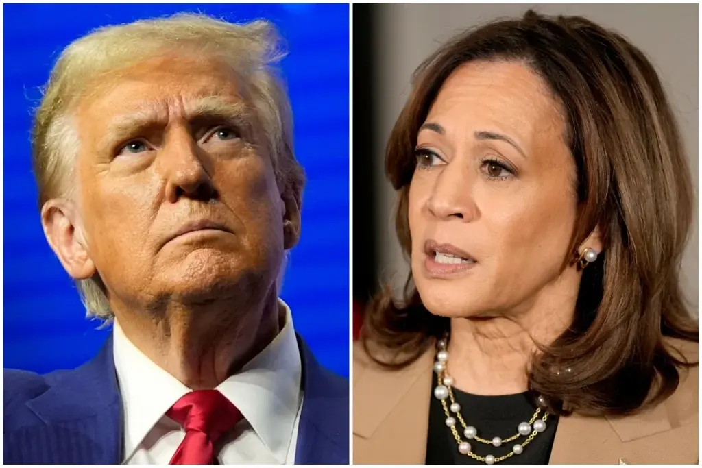 Who is winning the election? Expert reveals why betting odds are so