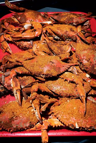 Number of Chesapeake Bay Blue Crabs Hits Record Low